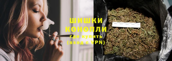бошки Осинники