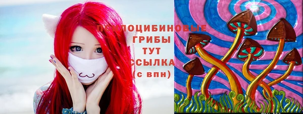 бошки Осинники