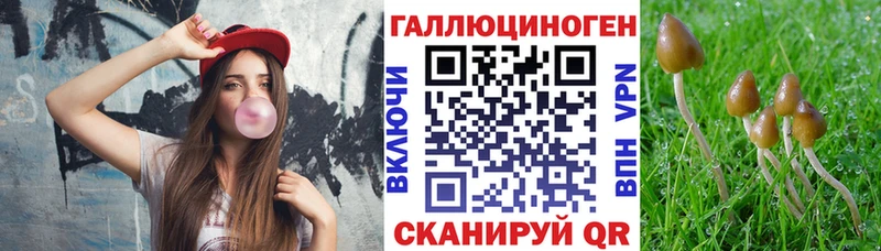 Галлюциногенные грибы GOLDEN TEACHER  Наволоки 